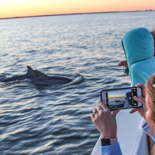 People on boat watching dolphins surface