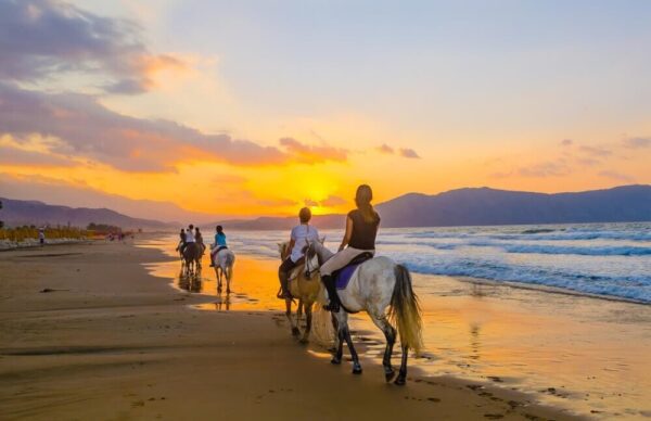 Amelia Island Horseback Riding